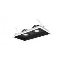 Nora NMRT3-2RL240NBW - Two-Head Flanged LED Multiple Lighting Trim, 1500lm per Head w/ Narrow Flood Optic, 4000K, Regressed