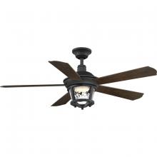 Ceiling Fans