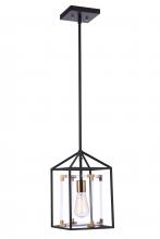 Craftmade P985FBSB1 - Aaron 1 Light Acrylic Pendant in Flat Black/Satin Brass