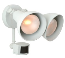 Outdoor Directional Lights