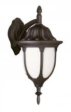 Trans Globe 4048 WH - Hamilton 13" Wall Lantern