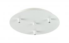  113-W - 3 Light Round Multi Port Canopy