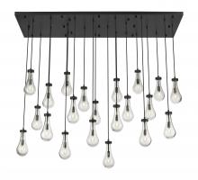 Innovations Lighting 172BK-451-1P-BK-G451-5CL-20 - Owego - 21 Light - 71 inch - Matte Black - Multi Pendant