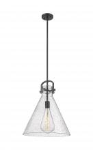  410-1SL-BK-G411-16SDY - Newton Cone - 1 Light - 16 inch - Matte Black - Pendant