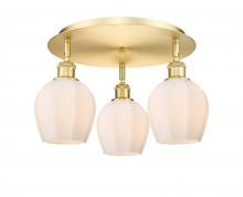 Innovations Lighting 516-3C-SG-G461-6 - Norfolk - 3 Light - 18 inch - Satin Gold - Flush Mount