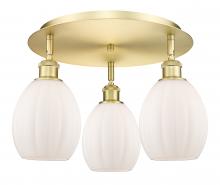  516-3C-SG-G81 - Eaton - 3 Light - 17 inch - Satin Gold - Flush Mount