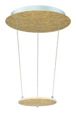 Arnsberg 323810179 - Zenith - Pendant