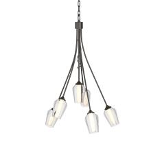 Hubbardton Forge 103043-SKT-14-ZS0354 - Flora 6 Arm Chandelier