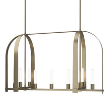 Hubbardton Forge 131075-SKT-MULT-84-FD0462 - Triomphe 9-Light Linear Pendant