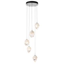 Hubbardton Forge 131137-SKT-LONG-02-WP0754 - Chrysalis 5-Light Small Crystal Pendant