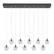 Hubbardton Forge 131203-SKT-STND-14-ZM0709 - Ume 10-Light Pendant