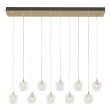 Hubbardton Forge 131203-SKT-STND-86-ZM0709 - Ume 10-Light Pendant