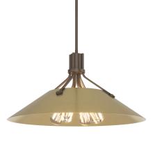 Hubbardton Forge 136340-SKT-MULT-05-86 - Henry Pendant