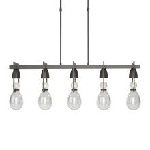 Hubbardton Forge 137810-SKT-LONG-07-ZM0572 - Apothecary Pendant