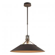 Hubbardton Forge 363010-SKT-STND-77 - Henry Outdoor Pendant