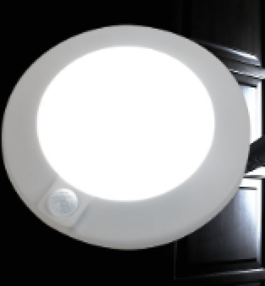 Proxima Surface Mount Downlight