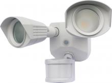 Security Lights