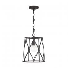 Austin Allen & Co. 9F368A - 1-Light Cage Pendant in Rustic Iron