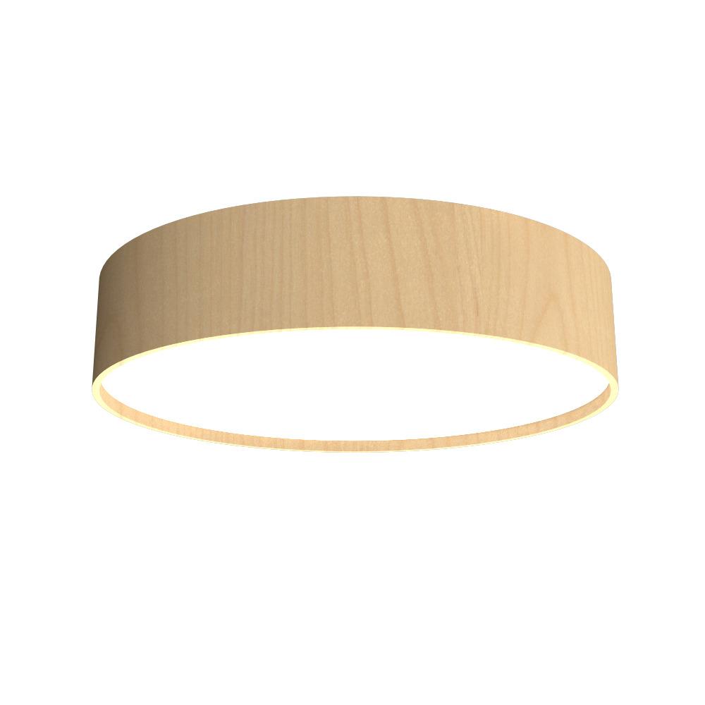 Cylindrical Accord Ceiling Mounted 5014 LED