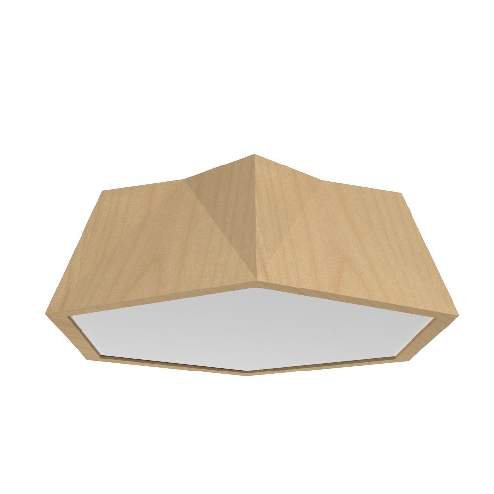 Physalis Accord Ceiling Mounted 5063 LED